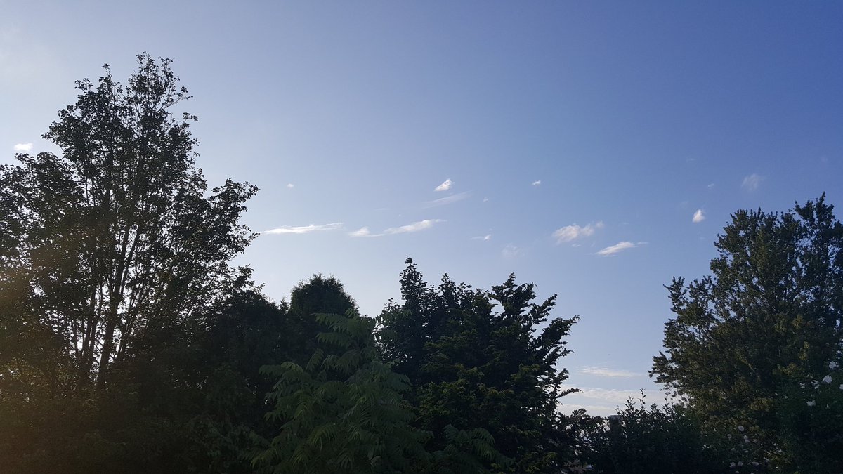 DinaSantorelli's tweet photo. #LifeIsMoreBeautiful when you look up from your phone. ๐ https://t.co/Sv3o4qpAUV