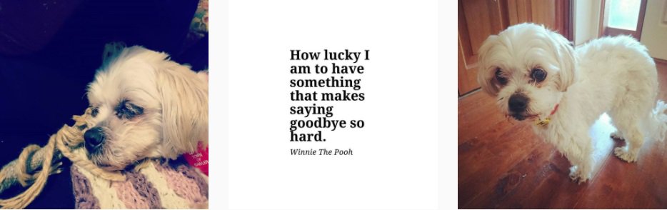 Abby Buckley tweet media