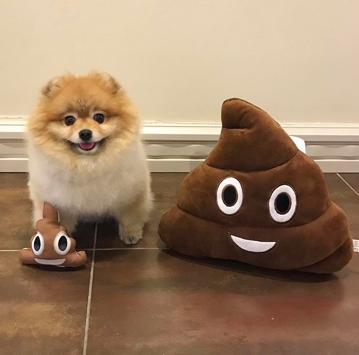 CursedDogs's tweet photo. Albus Potter with how his life is going https://t.co/hqY4x8dxm8
