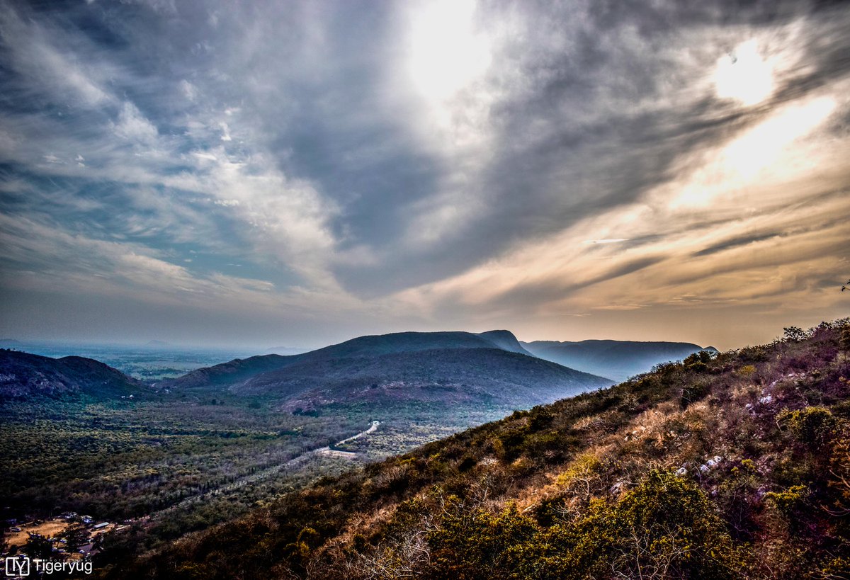 tigeryug's tweet photo. -----------,
 The morning wave in valley https://t.co/Df6gNTNMsr