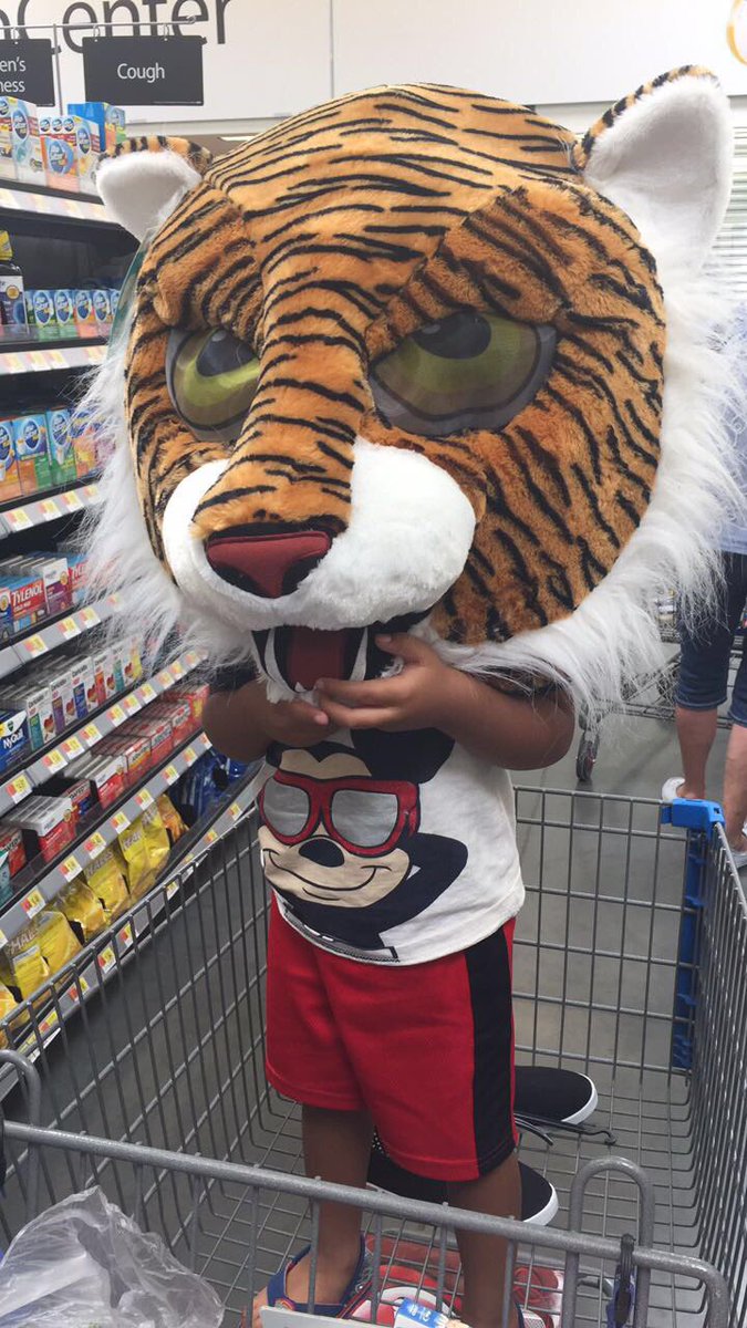 katybug1994's tweet photo. My tiger headed child #mykidisweird https://t.co/wGAAeQcKkR
