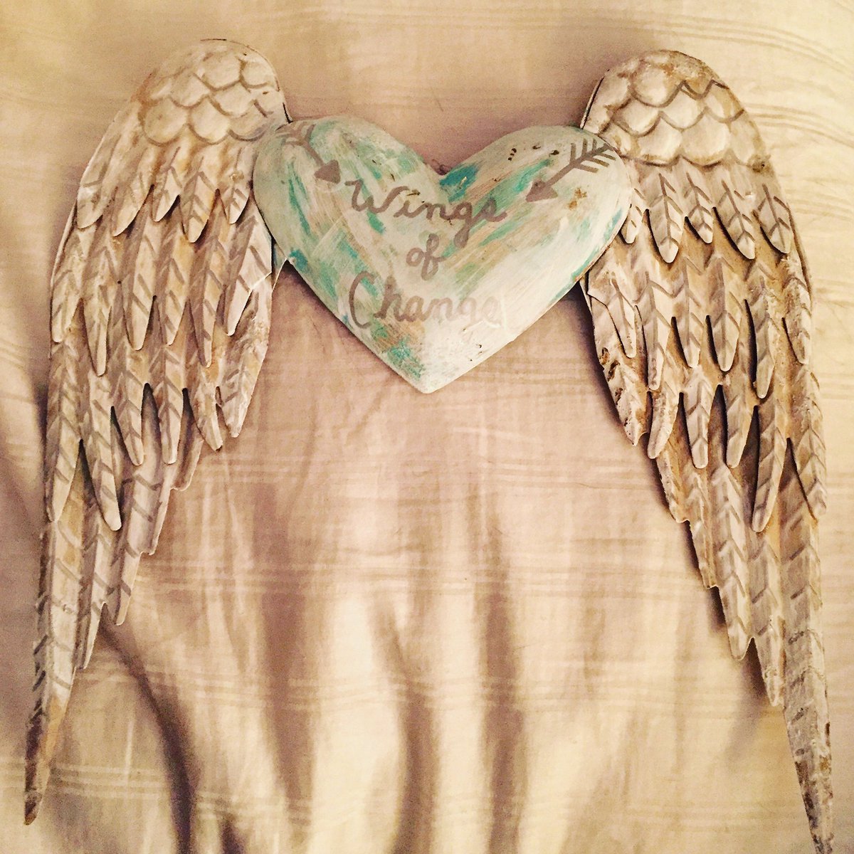 A gift on my front step 🙏 I am very grateful 💕#wingsofchange <a href="/SydGravel/">Syd Gravel, M.O.M.</a> <a href="/meowkittykatt/">Meowkittykatt</a> @WOCNorth_County <a href="/CKWingsofChange/">WingsofChangeCK</a> <a href="/mississaugaWoC/">Wings of Change Peel</a>
