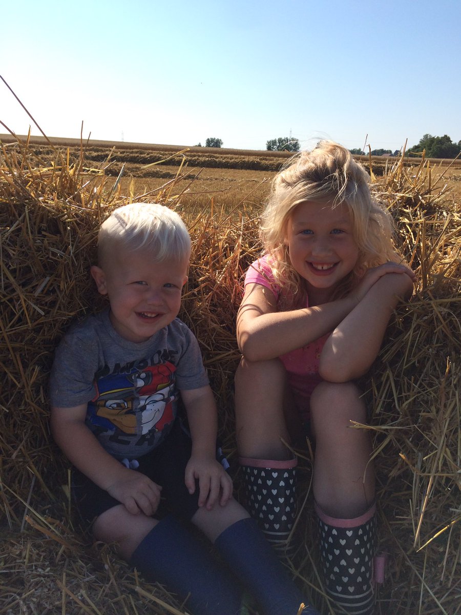 theFarmWifeLife's tweet photo. Fun start to #Harvest17 
@JRDFarms https://t.co/I2EcMvZwct