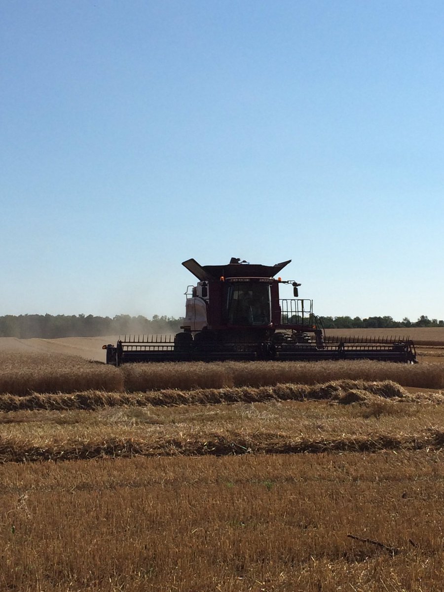 theFarmWifeLife's tweet photo. Fun start to #Harvest17 
@JRDFarms https://t.co/I2EcMvZwct