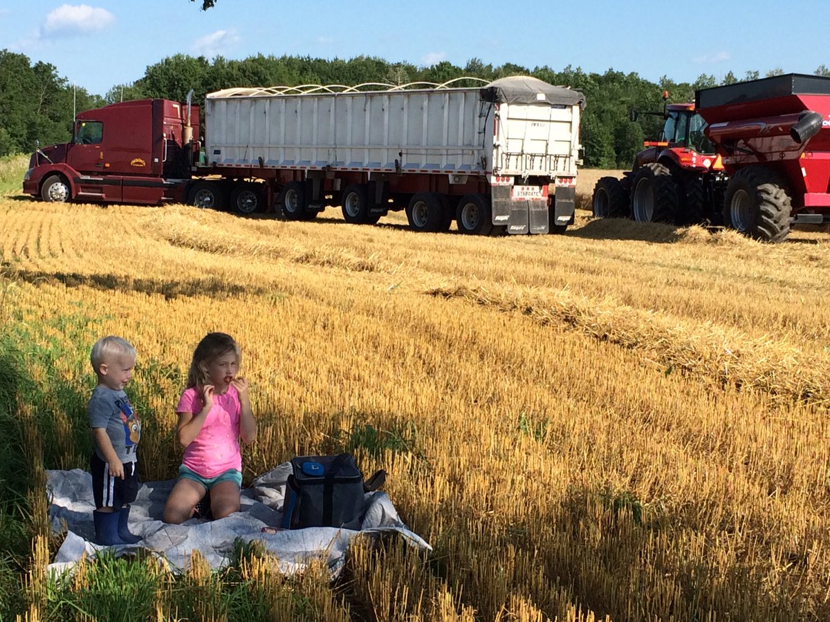 theFarmWifeLife's tweet photo. Fun start to #Harvest17 
@JRDFarms https://t.co/I2EcMvZwct