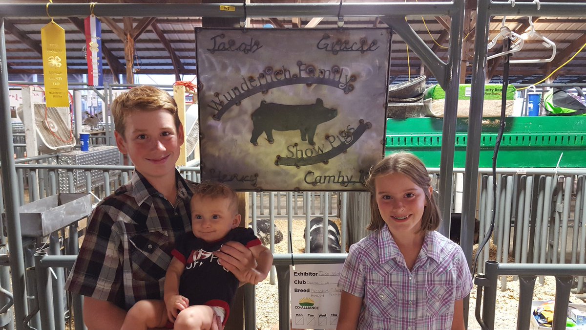rwunder17's tweet photo. Not a bad for these kids. Reverse champion tammworth gilt. Plus a 4th and 5th place with our barrows #countyfairtime https://t.co/zICErg1O2D