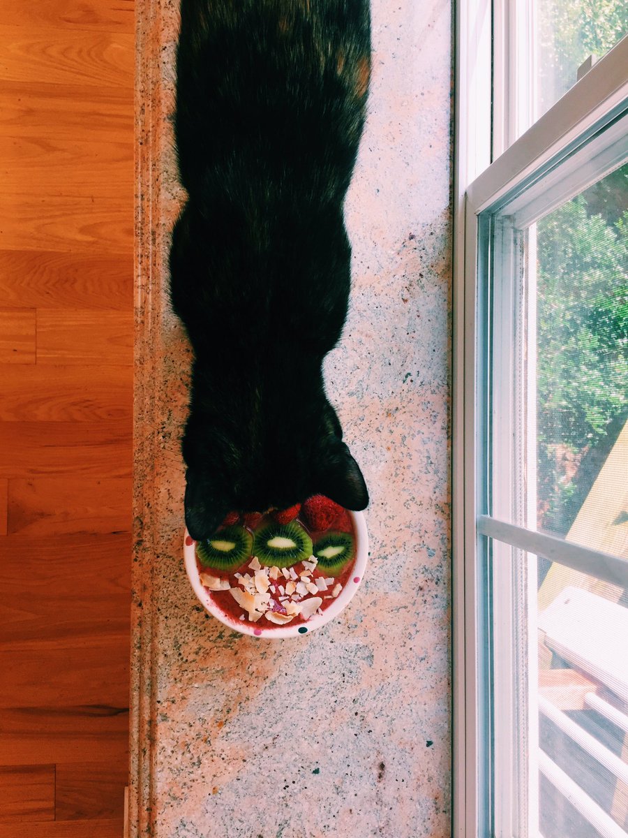 ameliathekitty's tweet photo. bweakfast https://t.co/bWaiJ9nSIQ