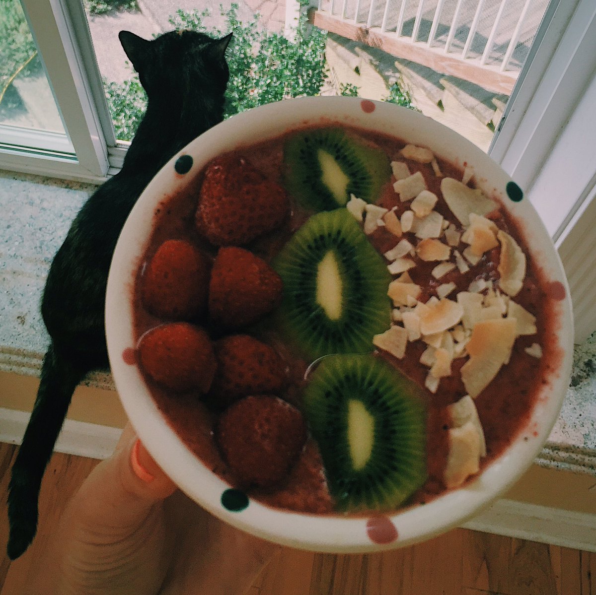 ameliathekitty's tweet photo. bweakfast https://t.co/bWaiJ9nSIQ