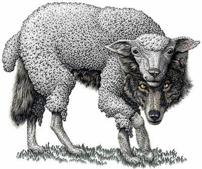 911_callthecops's tweet image. Is this a lamb or Islam #BanSharia# BanTheBurka #BanIslam #BanFGM #UKislost #London