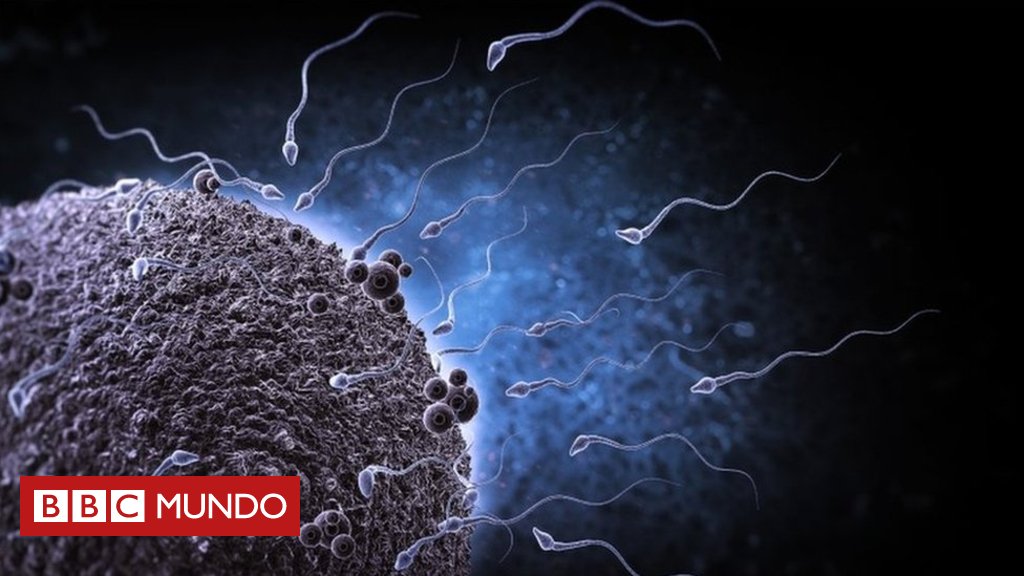bbcmundo's tweet photo. Por qué advirtieron que mala calidad del esperma puede llevar "a la extinción de la especie humana" https://t.co/oszFVoTWBV https://t.co/whBxQ6YYrE