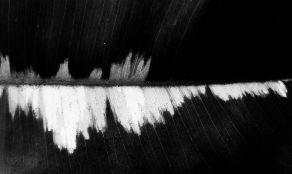 HANNAH_MARSHALL's tweet photo. SEEING SOUND. https://t.co/HKrf6mcVR9