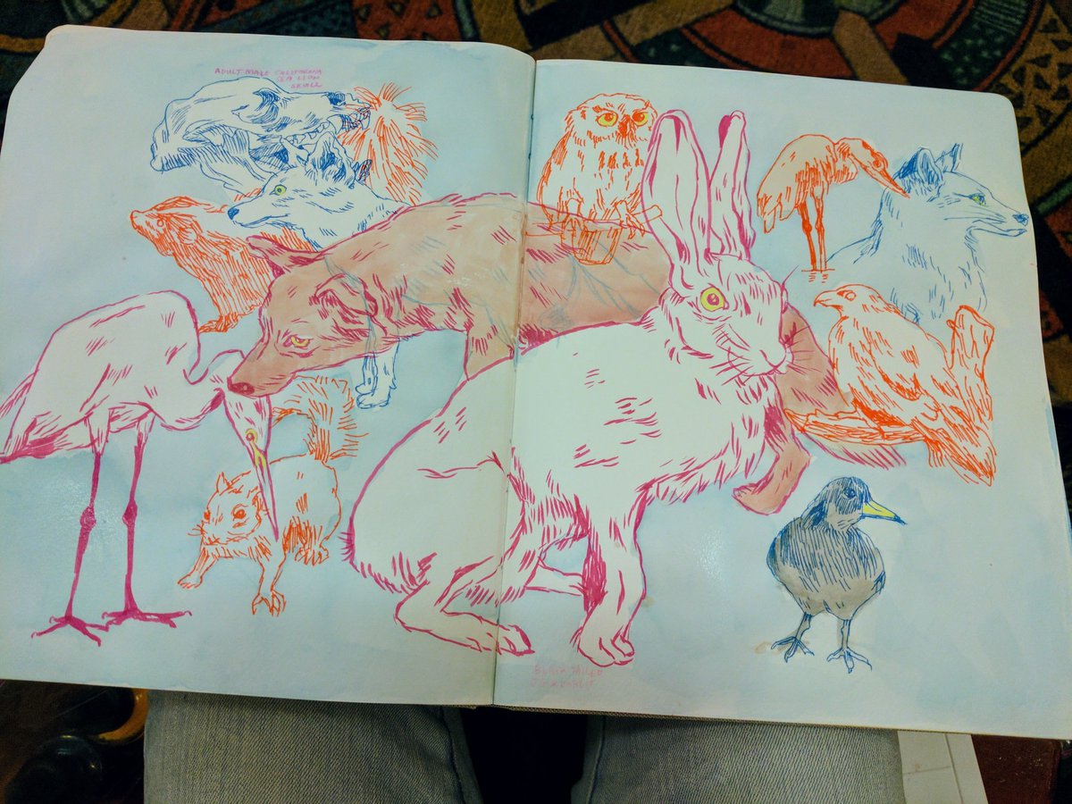 i went to the natural history museum today with my friend !! 