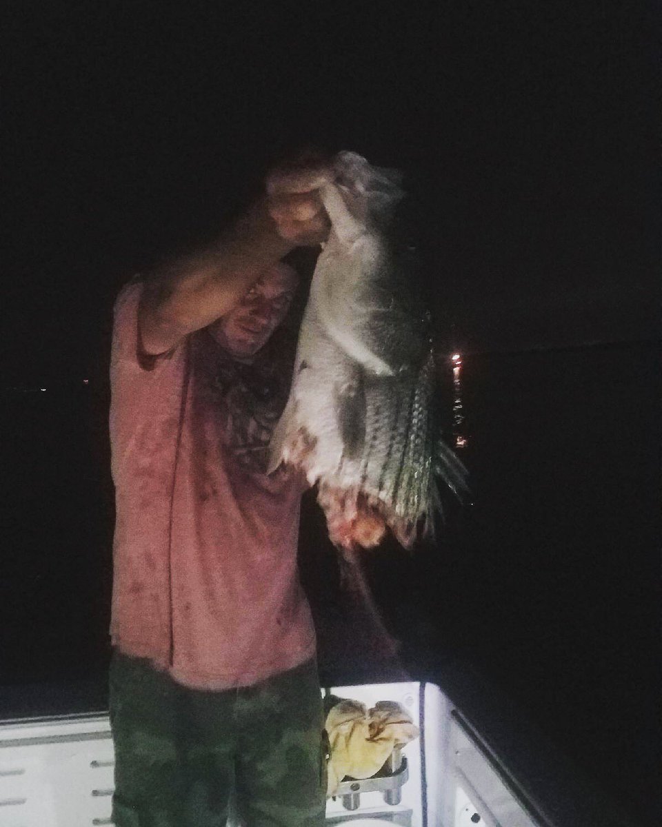 Photo of Jake Smith last night off Scorton Ledge (CC Bay). He leaned over to grab a striper he caught and a ~10' white shark took it first!