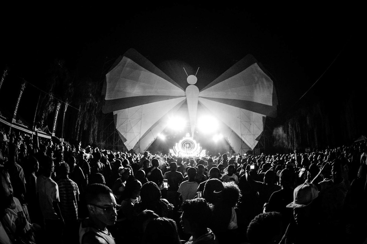 Spring Fiesta tweet media