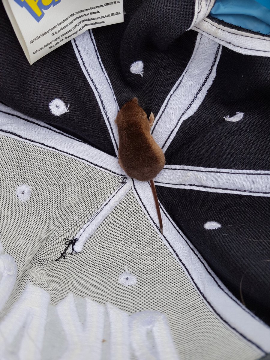 KlausdalGruppe's tweet photo. Når vi keder os må vi jo fange musene #sl2017 #Madserforhurtigmedsincap #nuttet #cool #Klausdalgruppe https://t.co/3s0uQGcXD2
