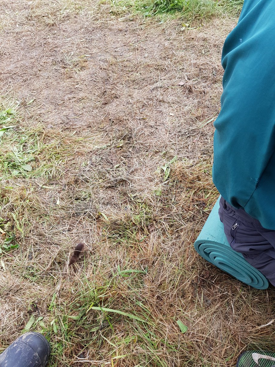 KlausdalGruppe's tweet photo. Når vi keder os må vi jo fange musene #sl2017 #Madserforhurtigmedsincap #nuttet #cool #Klausdalgruppe https://t.co/3s0uQGcXD2