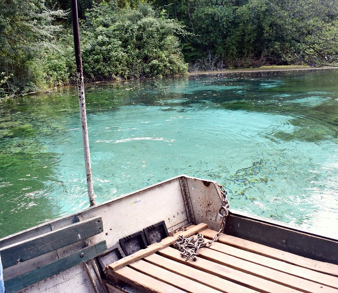 In Malou's Month vertel ik jullie waarom ik overweeg om te stoppen met bloggen --> blondeblossom.nl/malous-month-j… #stoppenmetbloggen #dtv