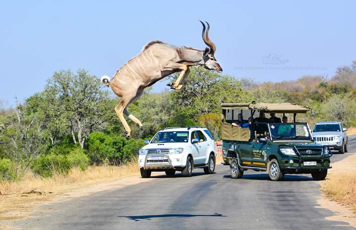 Travelust (@ugandaholiday) on Twitter photo 