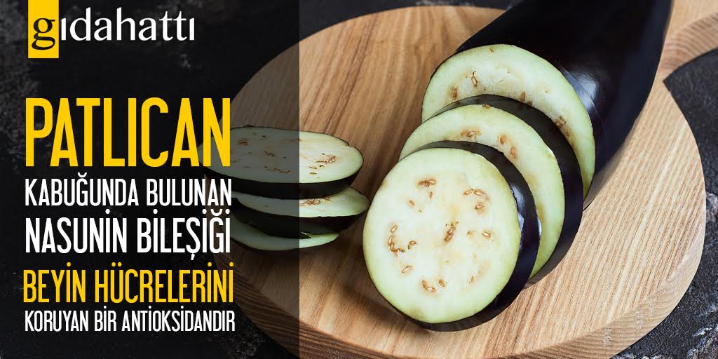 gidahatti's tweet photo. #patlΔ±can #nasunin #antioksidan #beyinhΓΌcreleri @GIDAHATTI https://t.co/D5EV05TdYy