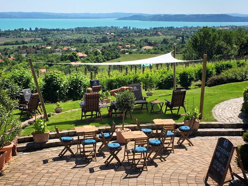 nonstopbalaton's tweet photo. 15+1 borterasz, mely minden Balaton-rajongó szívét megdobogtatja »» https://t.co/3YhUrfCTrb 🍷☀🙂 #Balaton #Hungary #bor #wine #terasz #cozy https://t.co/5BaV04tGkQ
