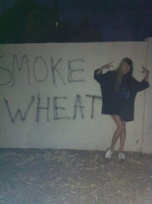 awonderland's tweet photo. Everyone in LA smokes weed and I'm like https://t.co/s1RfLKEozh
