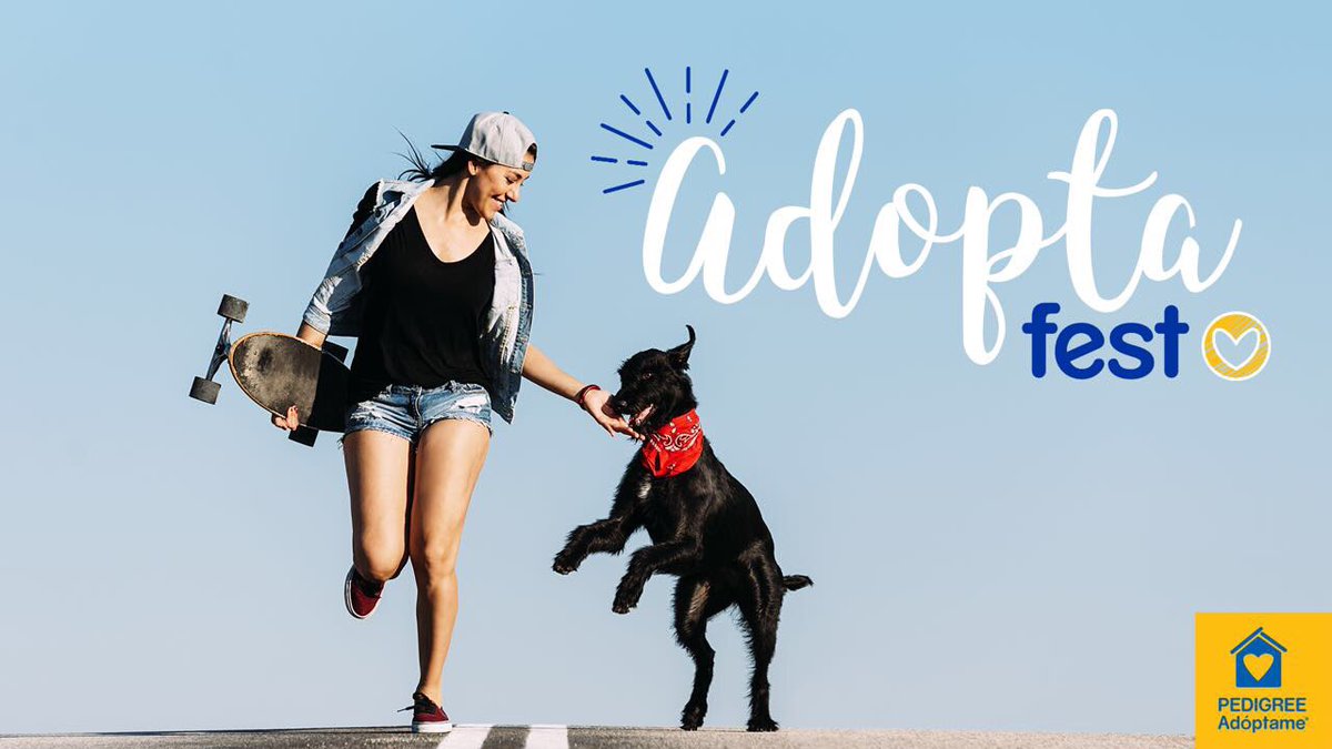 koncientizando's tweet photo. ¡Mañana es el #AdoptaFest! será en la explanada de la @DelegacionBJ a partir de las 10hrs, llevaremos a Mora en #adopción. @Pedigree_Mex https://t.co/A3e6TlV2dw