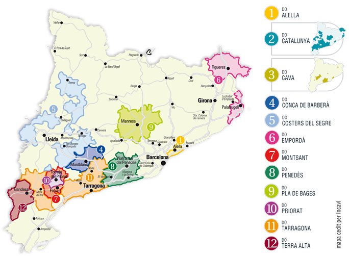 A Catalunya tenim 12 Denominacions d'Origen, 12 maneres d'entendre la vida al territori. Descobreix-les a través dels seus vins!