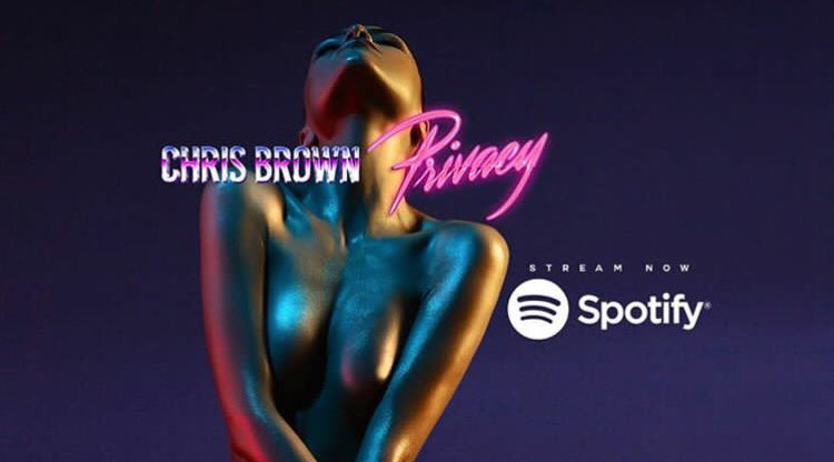 chrisbrown's tweet photo. #Privacy @Spotify https://t.co/hHTllUAMeU https://t.co/z3vyBhK13P