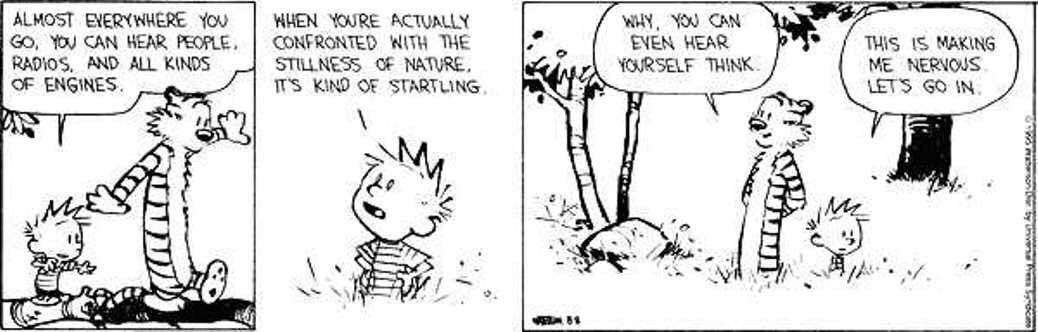 onlineadarsh's tweet photo. #CalvinAndHobbes I want to hear myself https://t.co/nzcv44fI1e