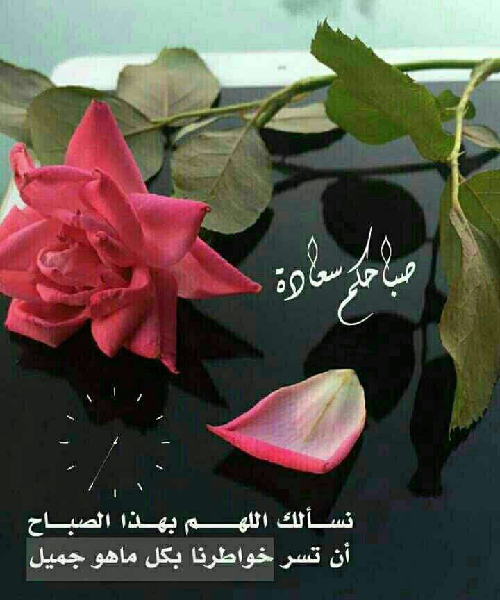 na__da95's tweet photo. (إنا إلى الله راغبون)
أيقظ في روحك رغبة دائمة إلى الله
ترقبا مستمرا لفضله اشواقا لاتتوقف لعطائه
كن دائما في إنتظار خير جديد ..

صباحكم ورد 💐 https://t.co/usTQVjeGi2