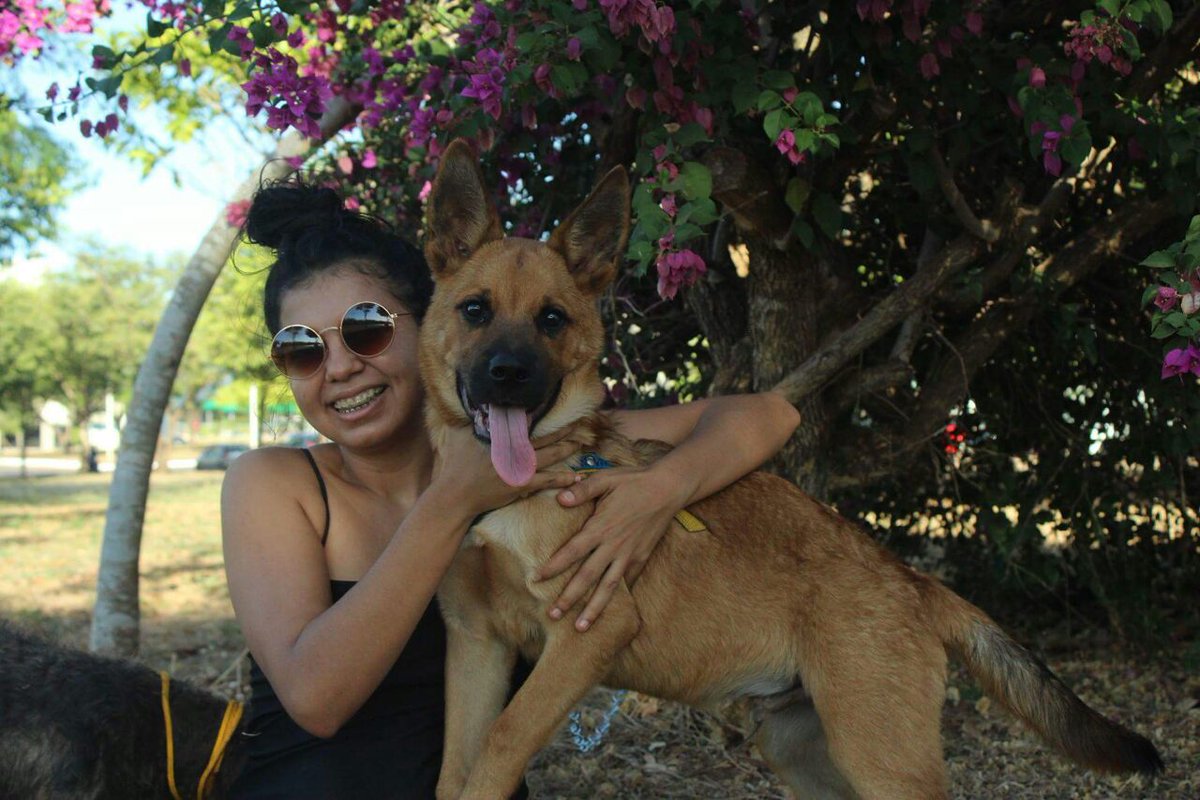 Sandram95470111's tweet photo. My #dog #Sun &amp; #Xiko https://t.co/eHot3TwhZz