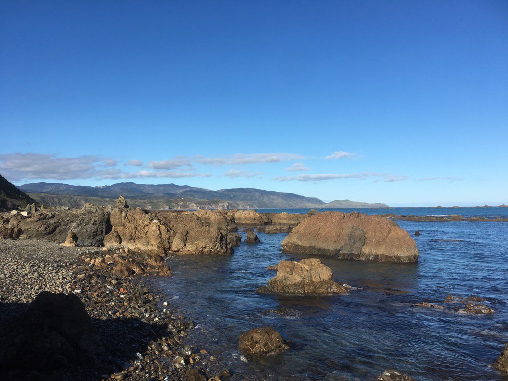 aquidity's tweet photo. Moa Point 2.17 pm #Sundayafternoon #curiousshadow #Stealthbomber #Jetplanelollies #Wellington https://t.co/hoAyxpNxBC
