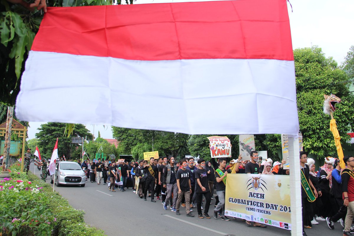 Iqbal_langdon's tweet photo. Lintas komunitas dan lembaga pecinta satwa melakukan aksi kampanye bertajuk #Time4Tiger & #Run4Tiger Minggu, (30/07/2017), Banda Aceh. https://t.co/t884crgsHm