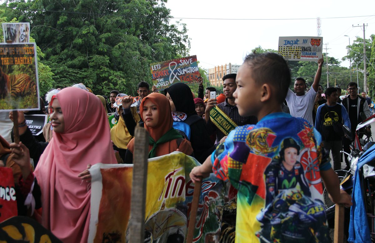 Iqbal_langdon's tweet photo. Lintas komunitas dan lembaga pecinta satwa melakukan aksi kampanye bertajuk #Time4Tiger & #Run4Tiger Minggu, (30/07/2017), Banda Aceh. https://t.co/t884crgsHm
