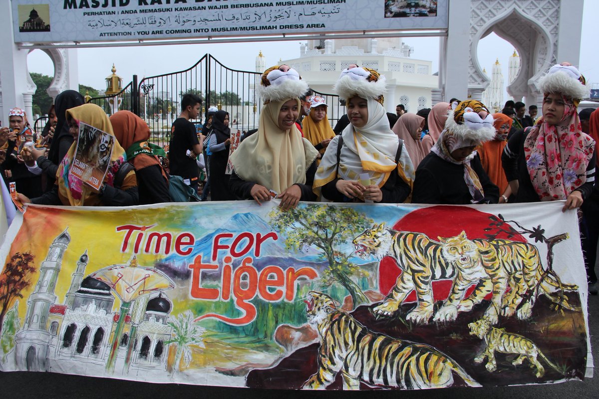 Iqbal_langdon's tweet photo. Lintas komunitas dan lembaga pecinta satwa melakukan aksi kampanye bertajuk #Time4Tiger & #Run4Tiger Minggu, (30/07/2017), Banda Aceh. https://t.co/t884crgsHm