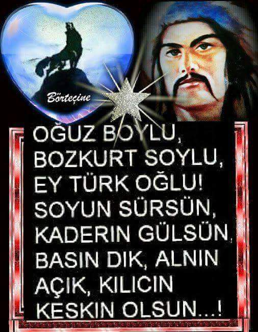 mete han (@ozguneyhaluk) on Twitter photo 