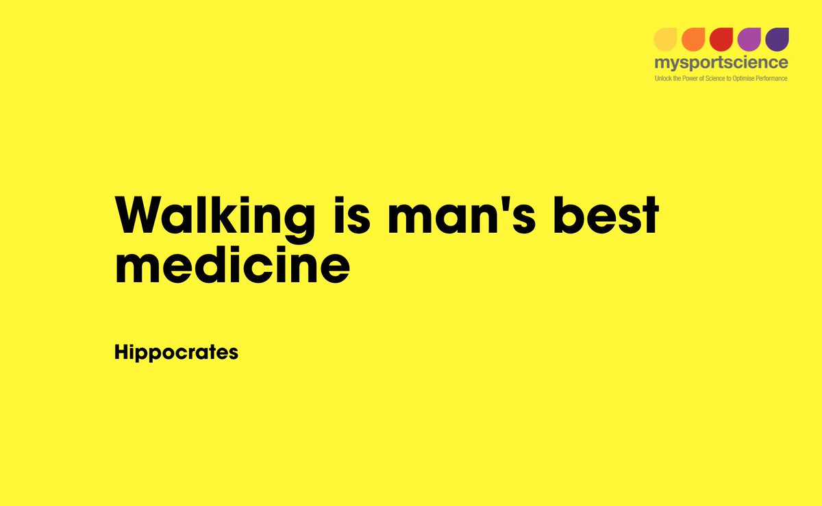 Jeukendrup's tweet photo. Walking is a man's best friend. https://t.co/uyw28VYogr
