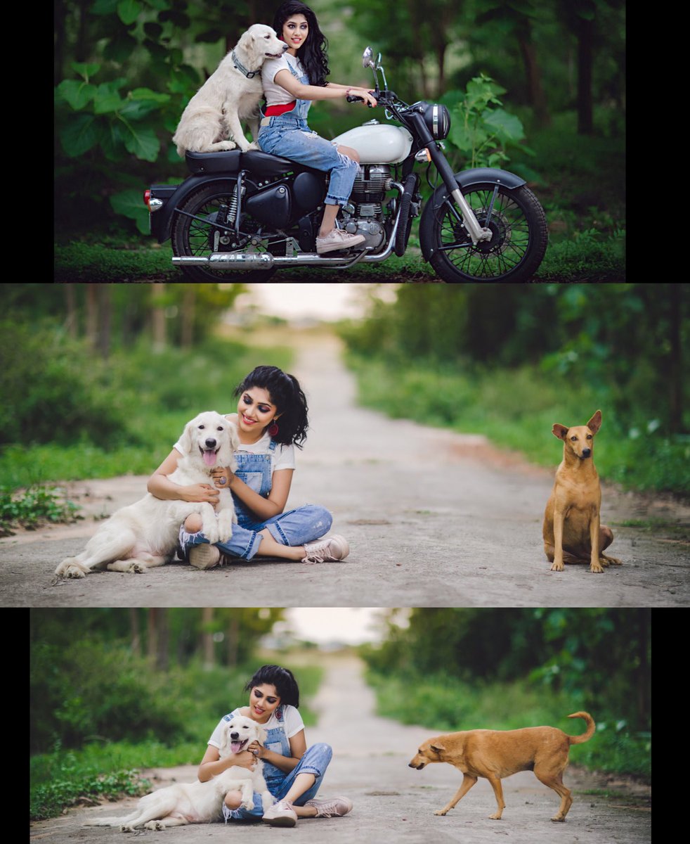 samyuktahornad's tweet photo. I hope all of u find something u love to the point of madness. It's what makes life worth living. #HappyBirthdayGunda :)

#Adopt 97425 43510 https://t.co/NswyEfp6pg