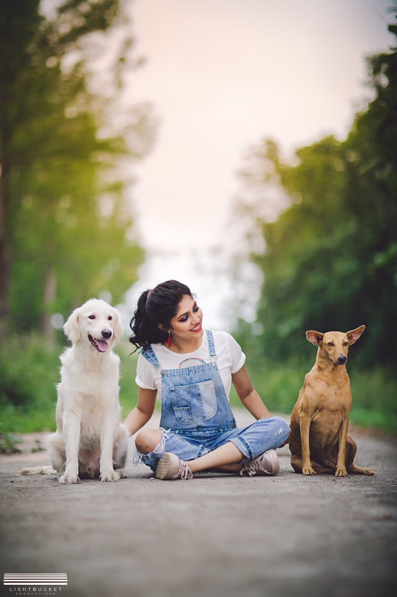 samyuktahornad's tweet photo. I hope all of u find something u love to the point of madness. It's what makes life worth living. #HappyBirthdayGunda :)

#Adopt 97425 43510 https://t.co/NswyEfp6pg