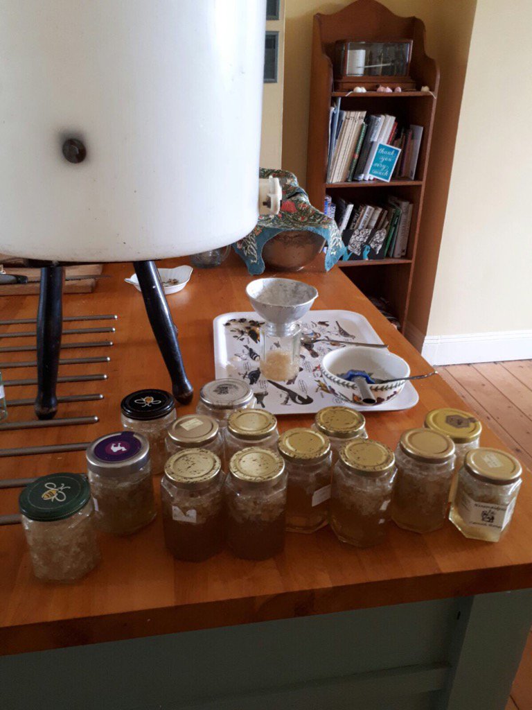 ChannelVFarm's tweet image. Golden nectar is flowing at the farm this week! #honey #bees #delicious