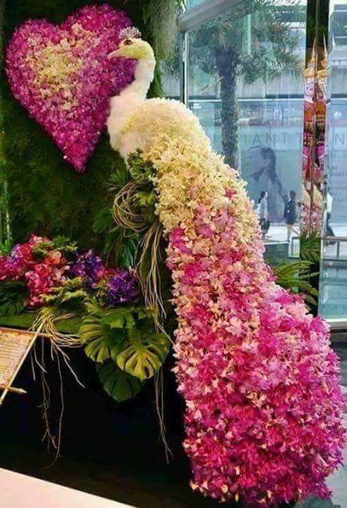 liz_s88's tweet photo. @SilvanapPaula @Marciafons @Diosaqui007 @MarksNeuza @RAHULCHOUBEY7 Bom dia flor! Lindo domingo pra vocês. https://t.co/8jbU5ysy6F