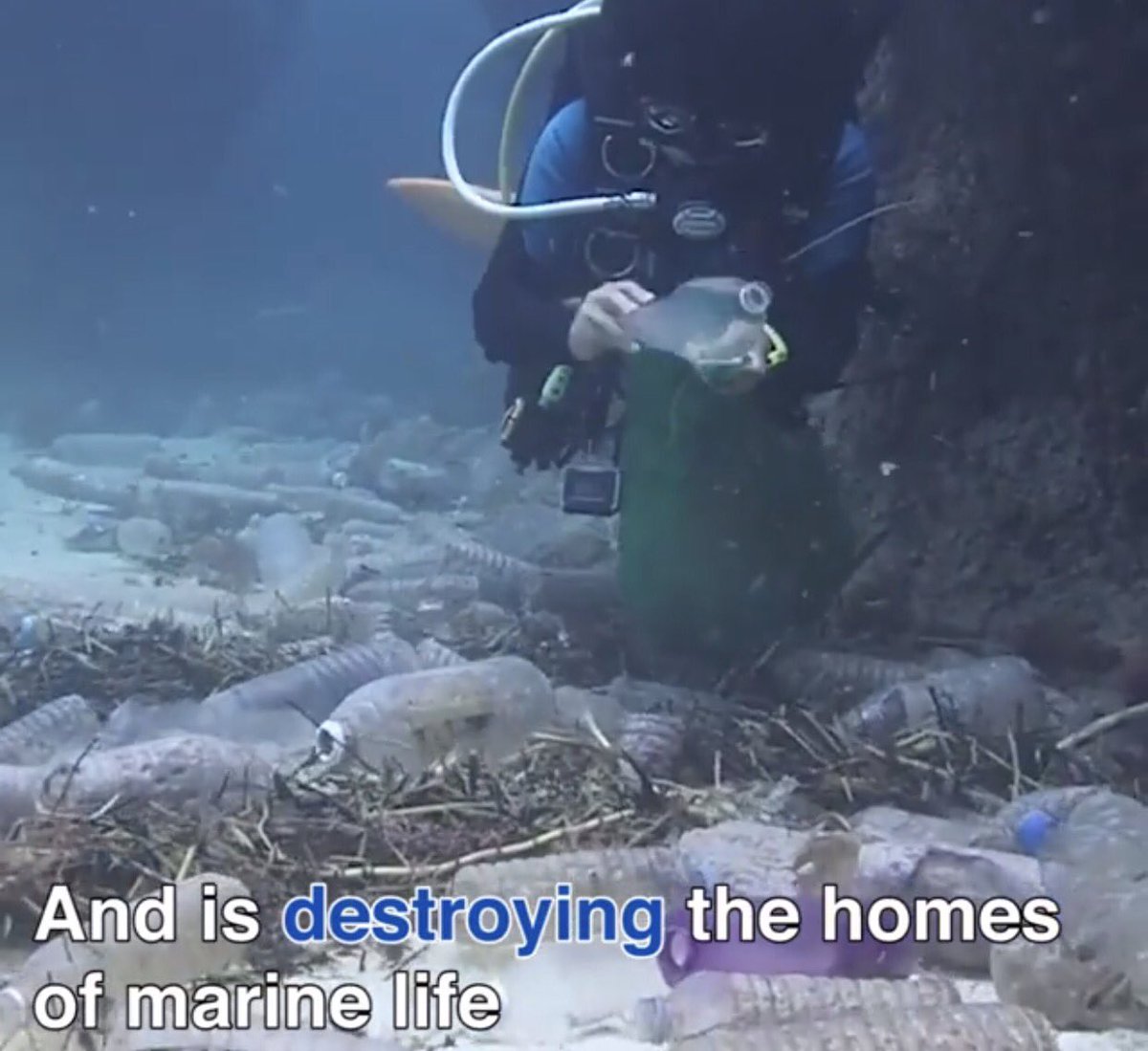 NotoxAustralia's tweet photo. #chosetoreuse #PlasticFreeJuly #marinelife #upstream #prosocial https://t.co/3NFdBSUgzD