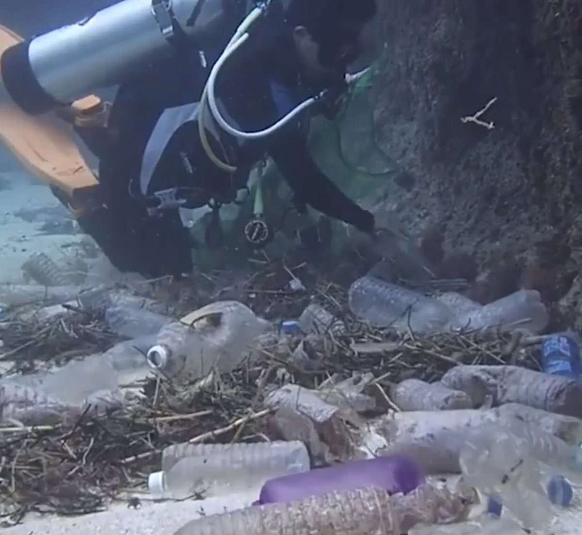 NotoxAustralia's tweet photo. #chosetoreuse #PlasticFreeJuly #marinelife #upstream #prosocial https://t.co/3NFdBSUgzD