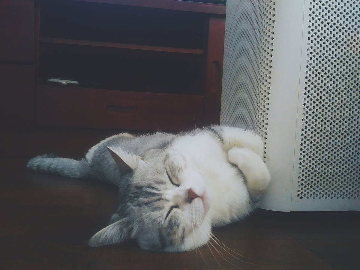 stanlucn's tweet image. 喂…醒醒…