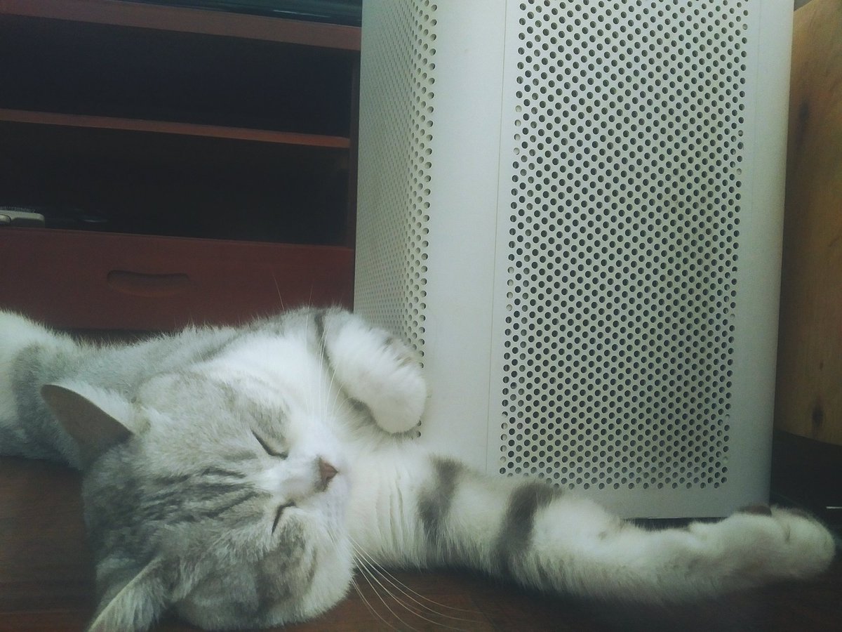 stanlucn's tweet image. 小家伙，抱你可好。