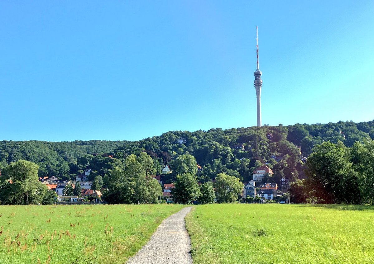 DynamoDresden's tweet image. Guten Morgen, #Dresden!🖤💛 #Matchday Ab 15.30 Uhr geht's endlich wieder los, dann rockt Dynamos Wohnzimmer für 90 Minuten die Stadt.😎 #SGDMSV
