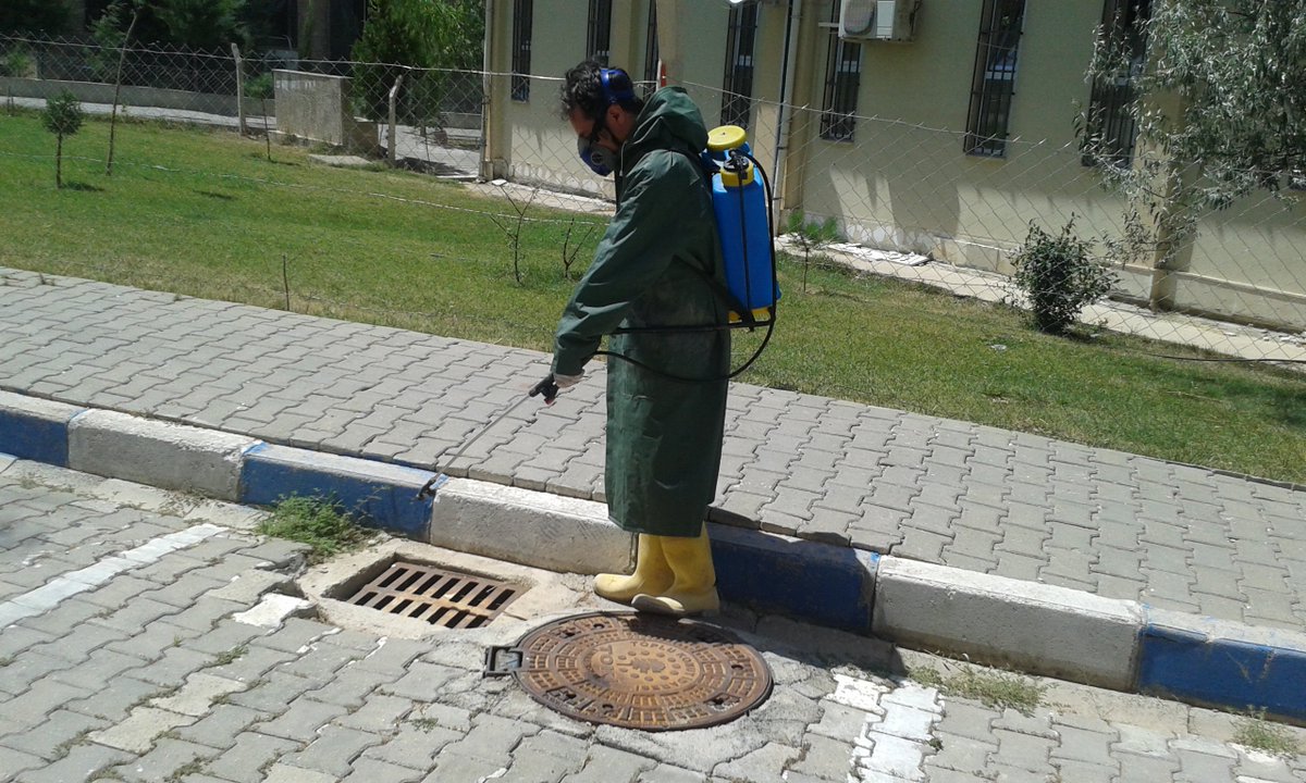 ad_toki's tweet photo. Kazan Dairesi, Bina Etrafı, Elektrik Odası ve Sığınakları İlaçlama Çalışması...@EmlakYonetim @HasanDurhat @Emlakisletmeler @muratozer23 https://t.co/JsHVKf6hmX