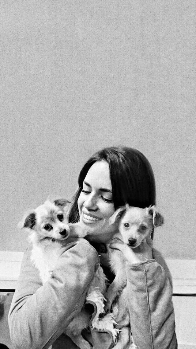 PLLlockscreensx's tweet photo. •Torrey Devitto {free}•
▪️RT if you saved https://t.co/hpZO4qeaEC