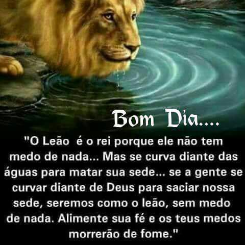 Pri#Tim Beta#SDV# (@pricris_caua) on Twitter photo 