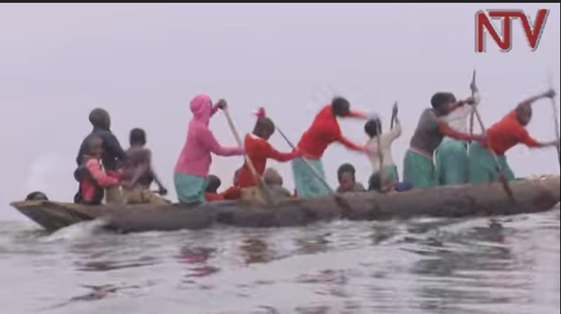 VIDEO. Each with their own paddle, Rubanda children canoe across Lake Bunyonyi to attend school bit.ly/2tbfyEo